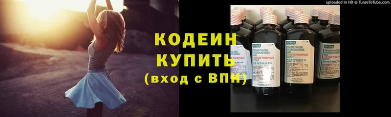 купить наркотики сайты  нарко площадка телеграм  Кодеин Purple Drank  Вилючинск 